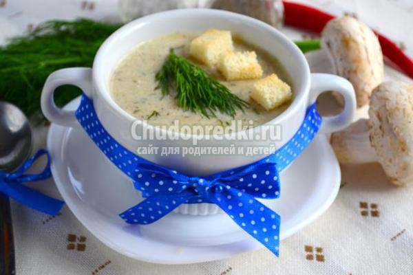 грибной суп-пюре на курином бульоне