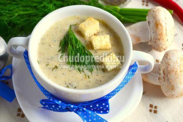 грибной суп-пюре на курином бульоне