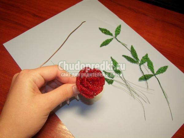 цветы из бисера. Розы