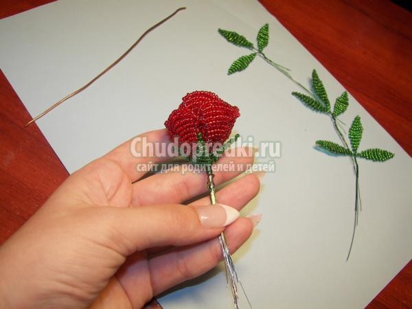 цветы из бисера. Розы
