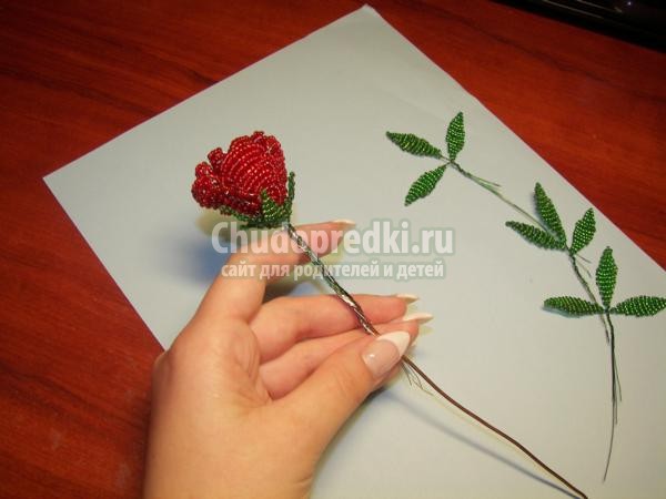 цветы из бисера. Розы