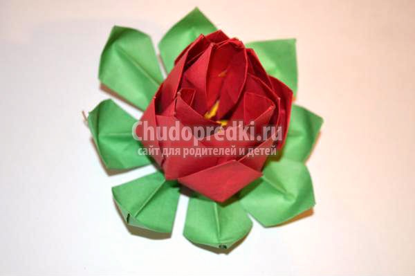 модульное оригами. Цветок лотоса
