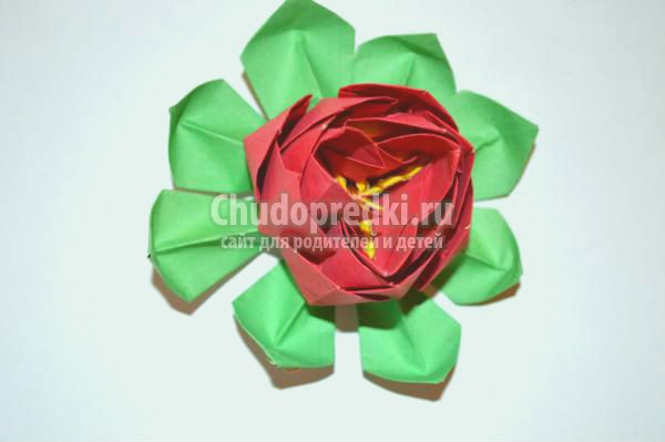 модульное оригами. Цветок лотоса