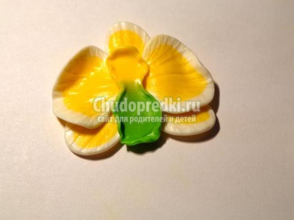 серьга для пирсинга из пластики. Орхидея