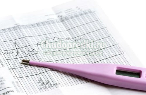 тест для определение овуляции