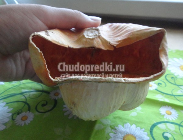 тыквенный домик своими руками мастер-класс