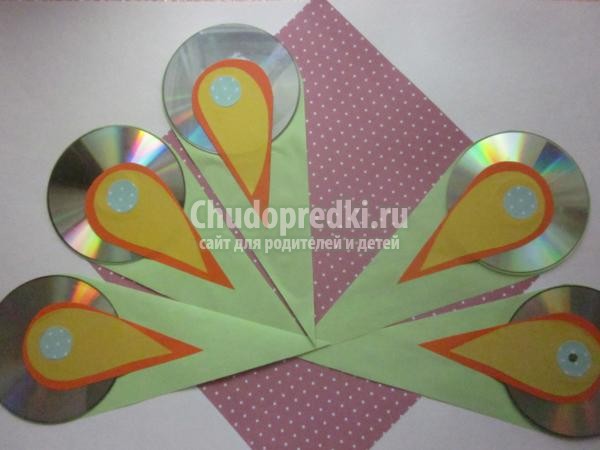 поделка из дисков и цветной бумаги. Павлинчик
