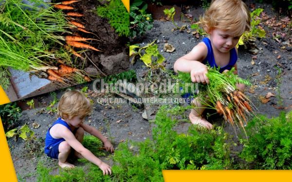 летние поделки из овощей и фруктов
