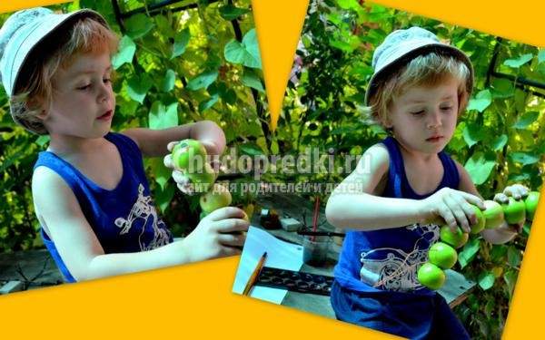 летние поделки из овощей и фруктов