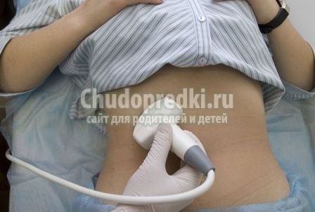 Первое УЗИ при беременности