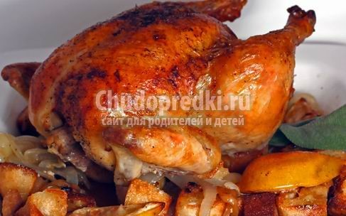 Курица в духовке. Популярные рецепты