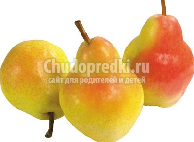 Поделки из фруктов Поделки из фруктов