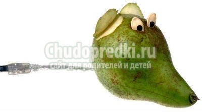 Поделки из фруктов Поделки из фруктов