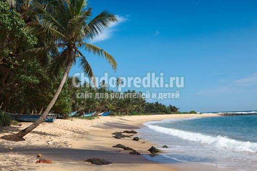 Отдых на экзотических островах: Шри-Ланка и Кайо-Энсеначос
