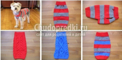Вязание для собак своими руками