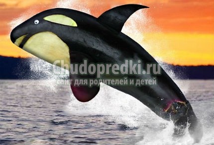 Поделки из баклажана Поделки из баклажана
