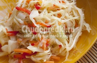 Салат из капусты с морковью Салат из капусты с морковью