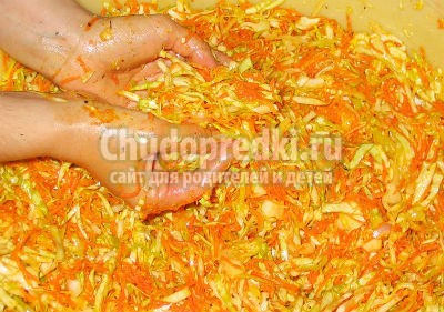 Салат на зиму из капусты