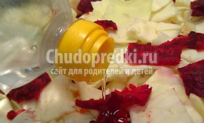 Салат на зиму из капусты