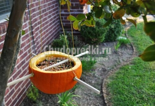 Кормушка своими руками