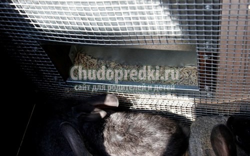 Кормушка своими руками