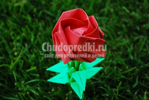 Оригами. Роза из бумаги