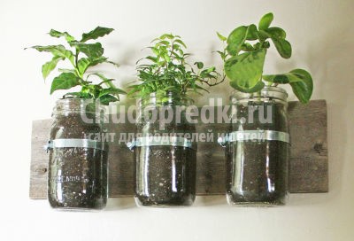 Что можно сделать из банки?