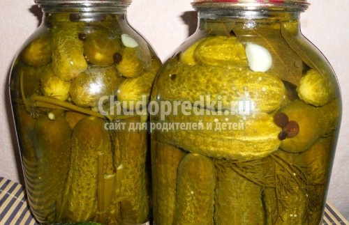 Соленые консервированные огурцы