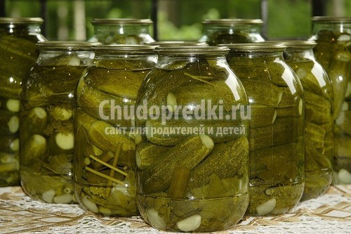 Соленые консервированные огурцы