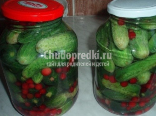 Соленые консервированные огурцы