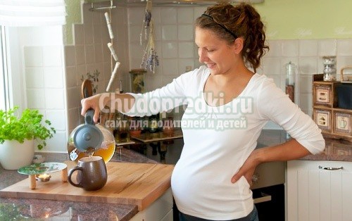 Можно ли мяту при беременности Можно ли мяту при беременности