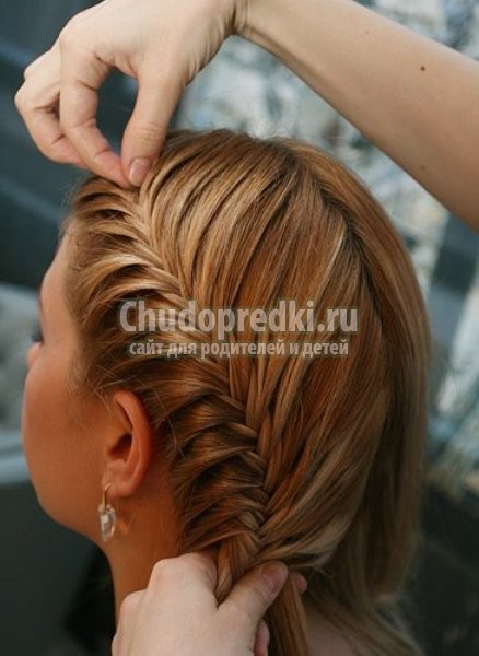 колосок