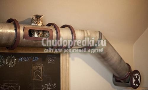 Игрушки для котят своими руками