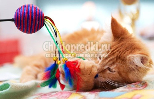 Игрушки для котят своими руками