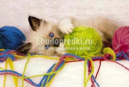 Игрушки для котят своими руками