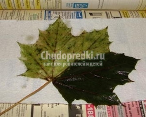 Природные поделки своими руками