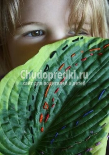 Природные поделки своими руками