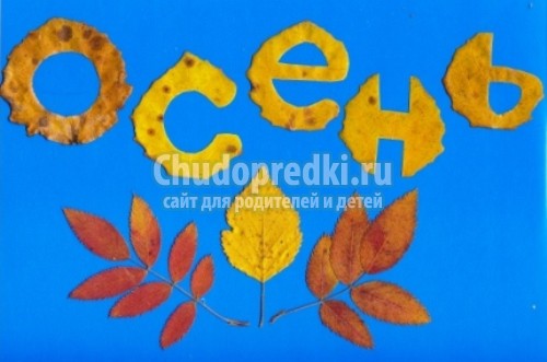 Аппликация из листьев