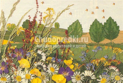 Аппликация из листьев
