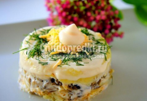 салат с курицей и грибами: самые лучшие рецепты с фото