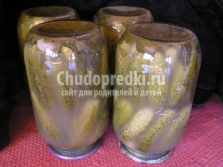 Cоленые огурцы на зиму: популярные рецепты с фото