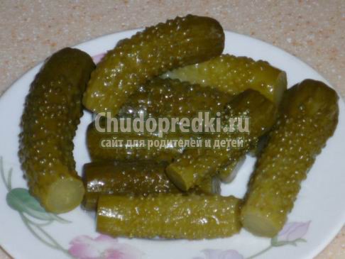 Cоленые огурцы на зиму: популярные рецепты с фото