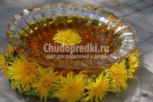 варенье из одуванчиков: популярные рецепты с фото
