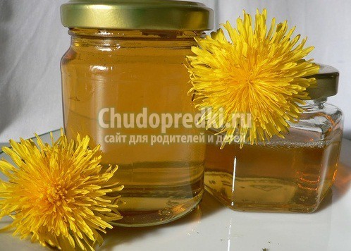 варенье из одуванчиков: популярные рецепты с фото