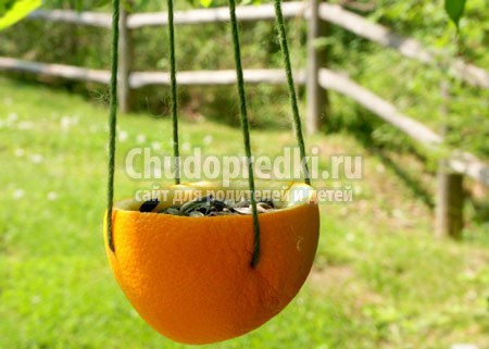 Как сделать кормушку: лучшие идеи с пошаговыми фото