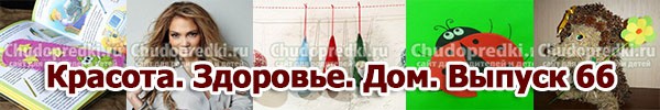 Красота. Здоровье. Дом. Выпуск 66