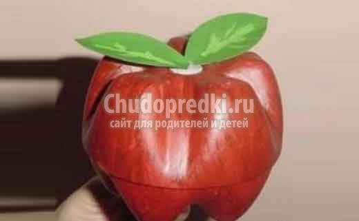 поделки из бутылок своими руками: лучшие мастер-классы с фото