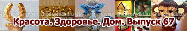 Красота. Здоровье. Дом. Выпуск 67