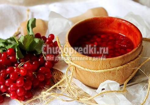 Калина. Заготовки на зиму полезные и вкусные