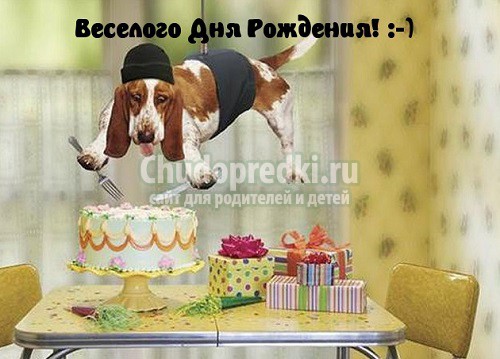 Поздравления с днем Рождения женщине: самые лучшие и популярные!